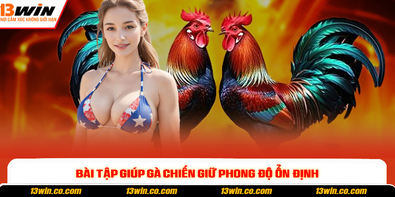 Bài tập giúp gà chiến giữ phong độ ổn định