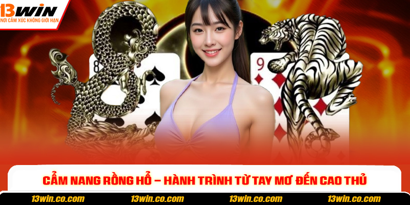 Cẩm nang rồng hổ - Hành trình từ tay mơ đến cao thủ