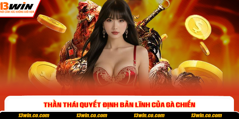 Mẹo Chọn Gà Đá - Bí Quyết Nhận Diện Chiến Kê Chuẩn