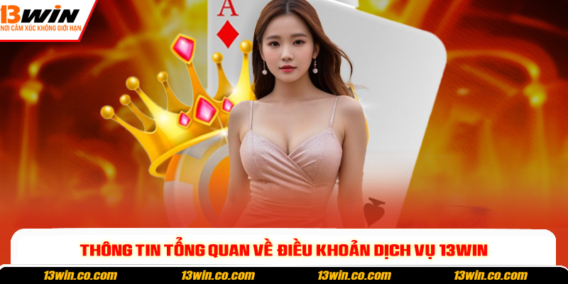 Thông tin tổng quan về điều khoản dịch vụ 13win