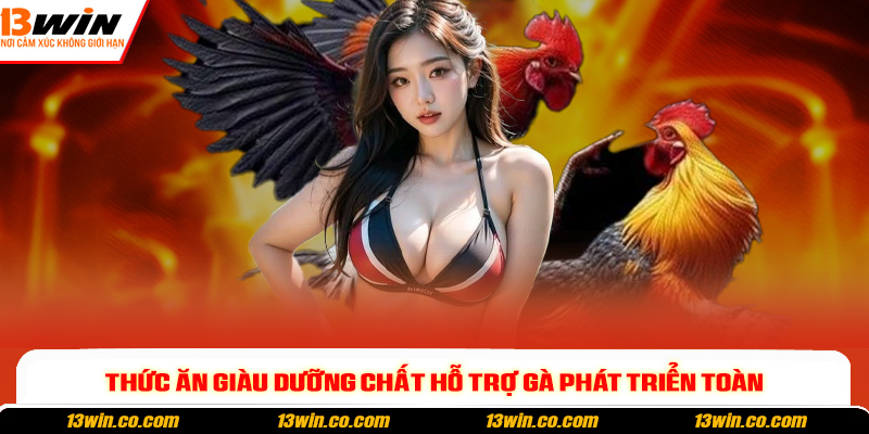 Thức ăn giàu dưỡng chất hỗ trợ gà phát triển toàn