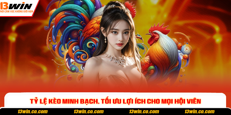 Tỷ lệ kèo minh bạch, tối ưu lợi ích cho mọi hội viên