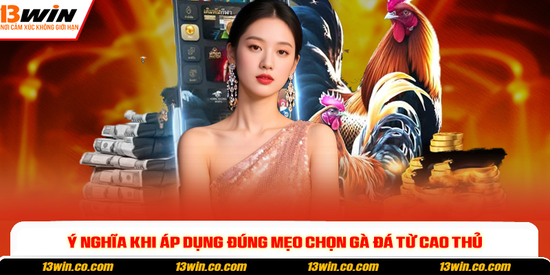 Ý nghĩa khi áp dụng đúng mẹo chọn gà đá từ cao thủ